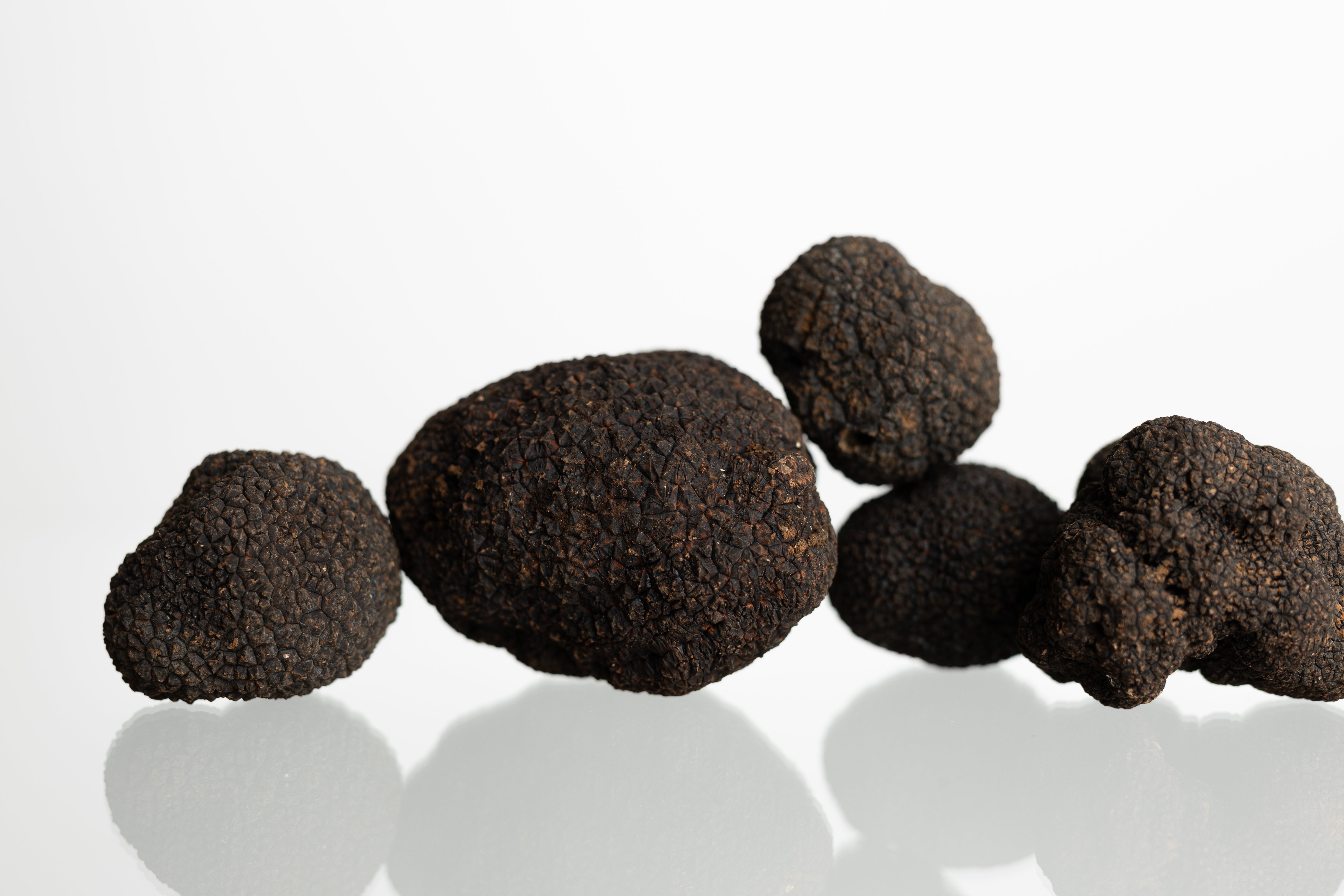 Trufa fresca