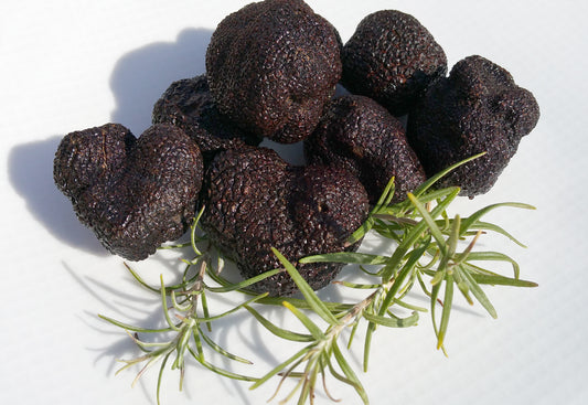Trufa negra fresca (Tuber melanosporum) – Teruel